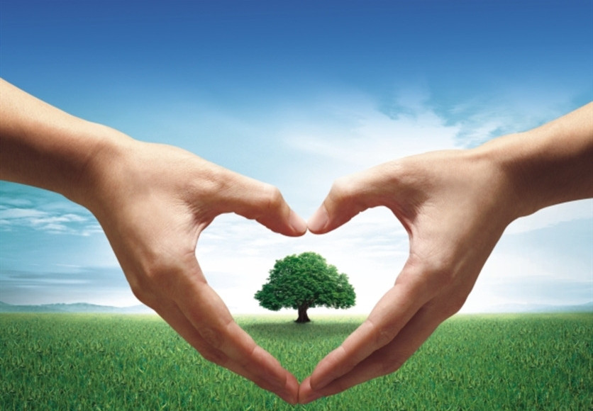 山東興源機(jī)械有限公司官網(wǎng)|起重機(jī)|行車|山東興源機(jī)械|單梁起重機(jī)|電動(dòng)葫蘆|起重配件|m.rongyitou.com|xyqzj|xyqzj.com|興源起重機(jī)|興源|起重機(jī)行車|起重設(shè)備|起重機(jī)械